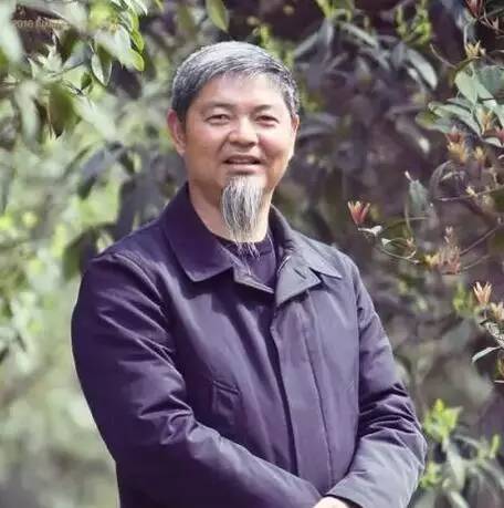 2017年怎么干？王健林、刘永好、刘汉元等川商大咖们的新年规划有何不同？川商头条(图15)