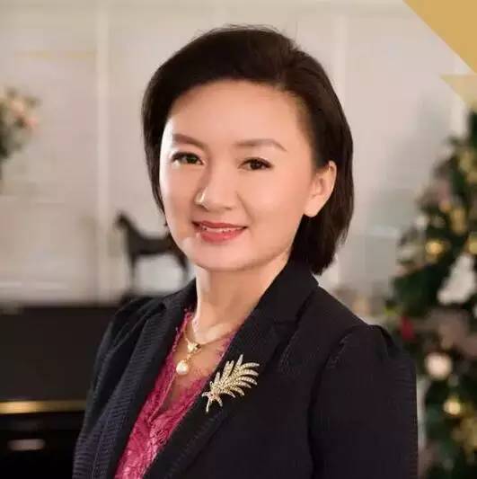 2017年怎么干？王健林、刘永好、刘汉元等川商大咖们的新年规划有何不同？川商头条(图19)