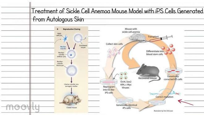 哈佛抗衰研究：6种成分7天轻松逆转衰老(图2)