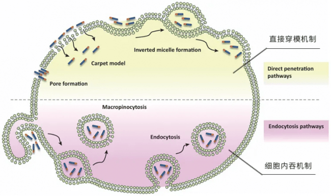 珂谧携手山东卫视突破山东卫视直播记录！(图3)